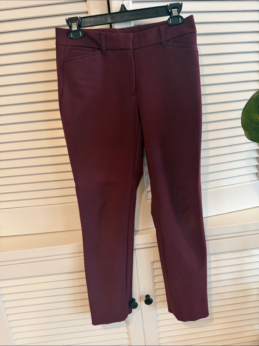 White House Black Market Slim Ankle Pants in Plum